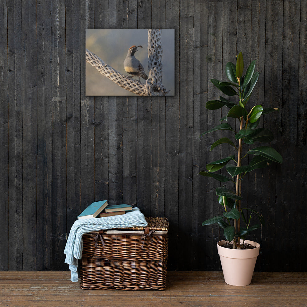 Quail on Cholla by Leslie Leathers Photography | Wrapped Canvas