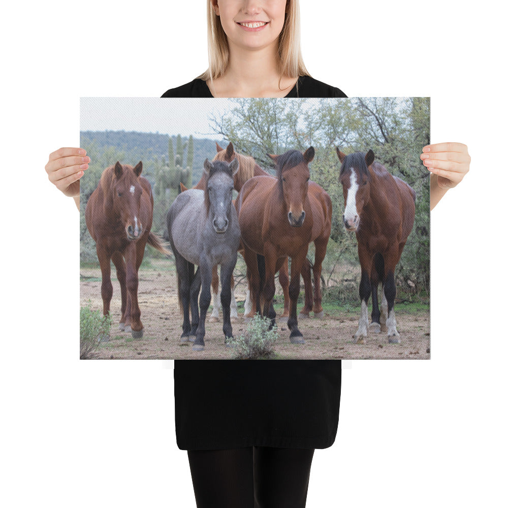 Dream Team by Leslie Leathers Photography | Wrapped Canvas