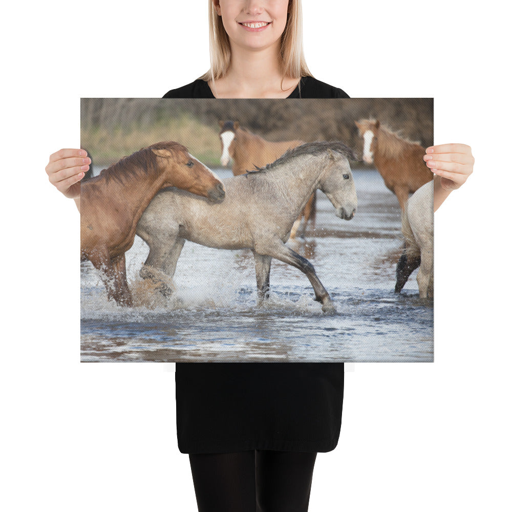 Wild Mustangs by Leslie Leathers Photography | Wrapped Canvas