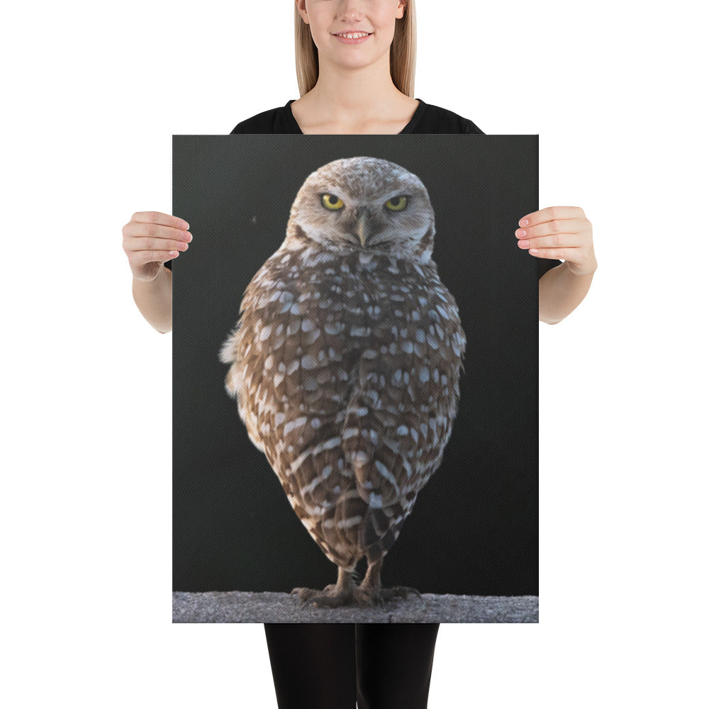 Burrowing Owl By Leslie Leathers Photography | Wrapped Canvas