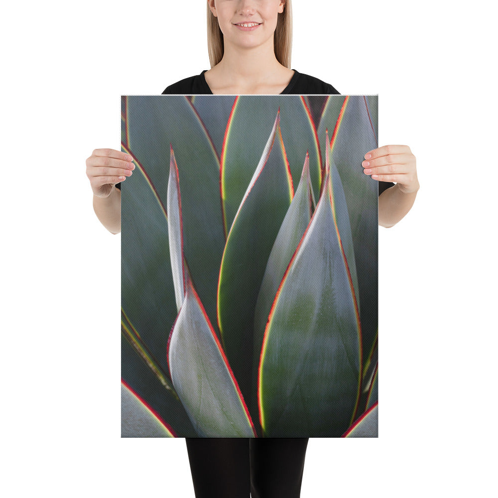 Agave by Leslie Leathers Photography | Wrapped Canvas