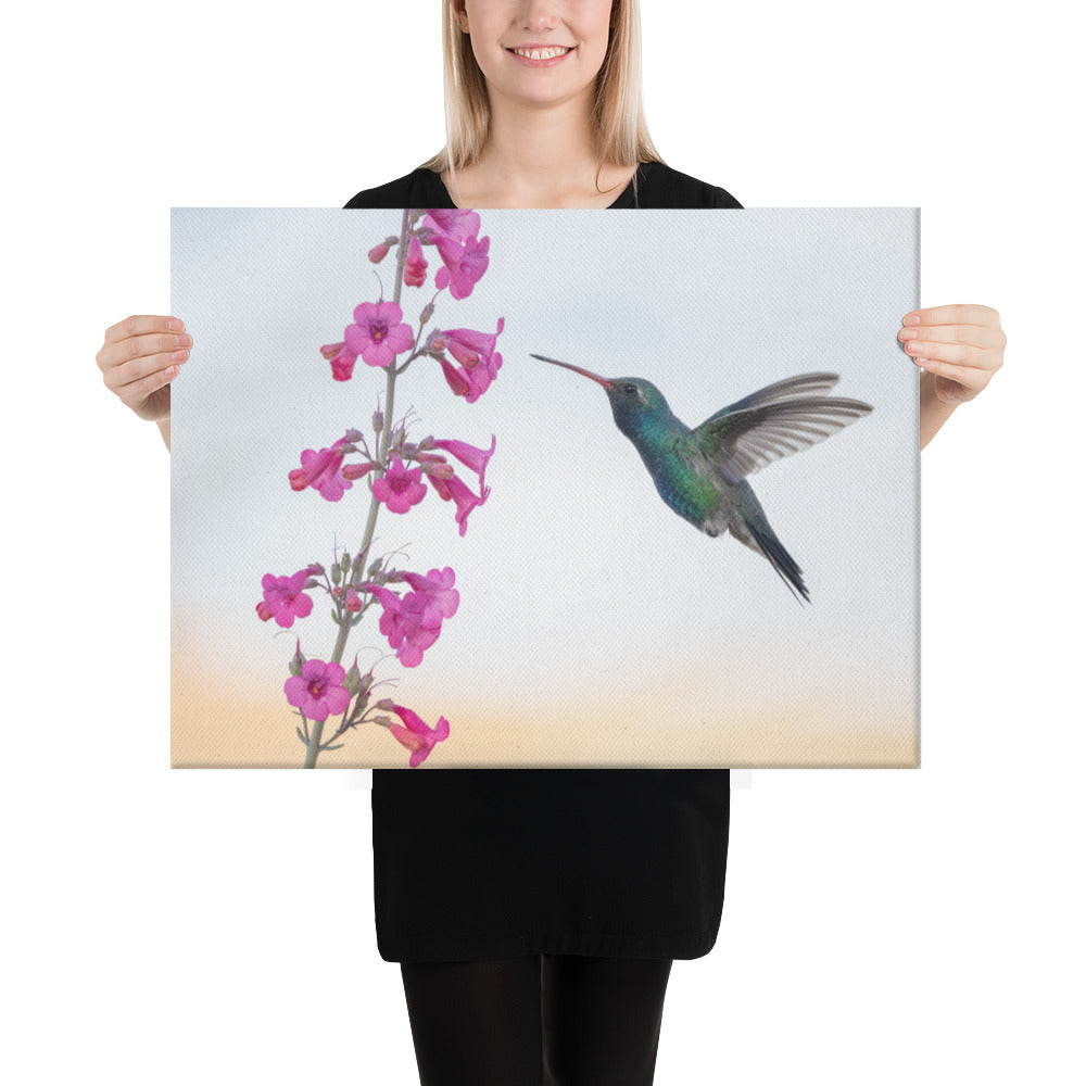 Broad Billed Hummingbird by Leslie Leathers Photography | Wrapped Canvas