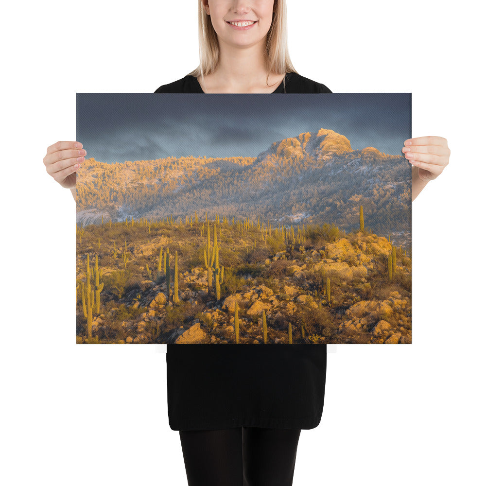 Rincon Mountain Snow by Sean Parker Photography | Wrapped Canvas