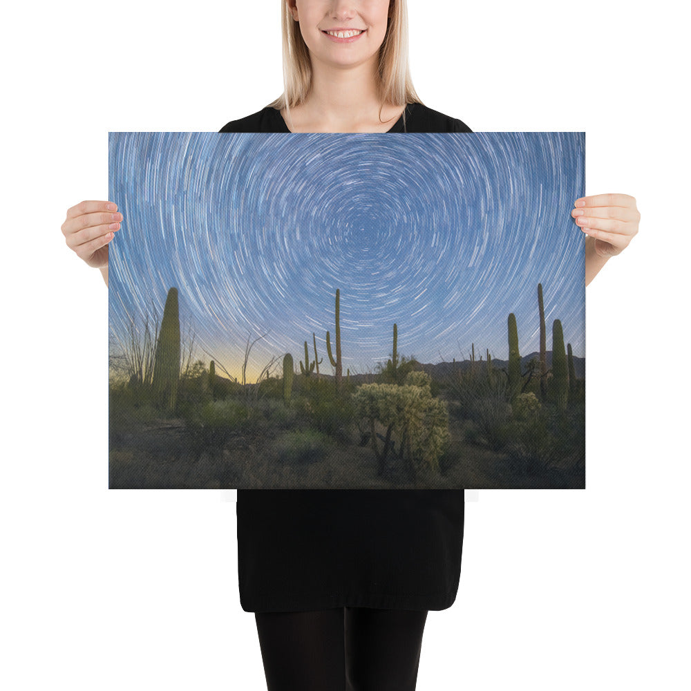 Sonoran Startails by Sean Parker Photography | Wrapped Canvas