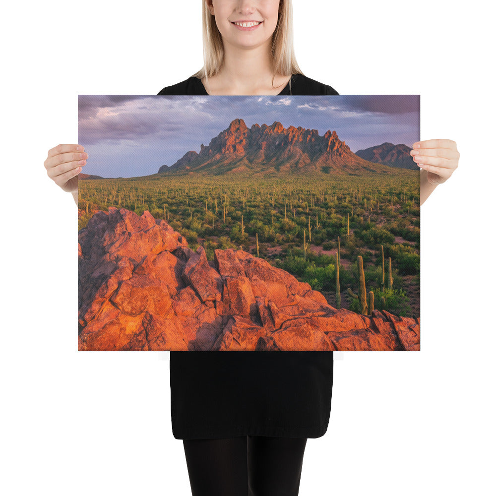 Ironwood National Monument By Sean Parker Photography | Wrapped Canvas