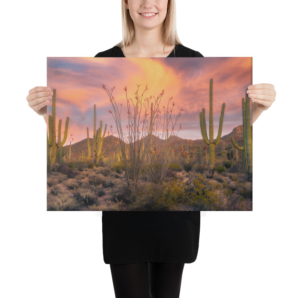 Tucson Mountain Park Sunset by Sean Parker Photography | Wrapped Canvas