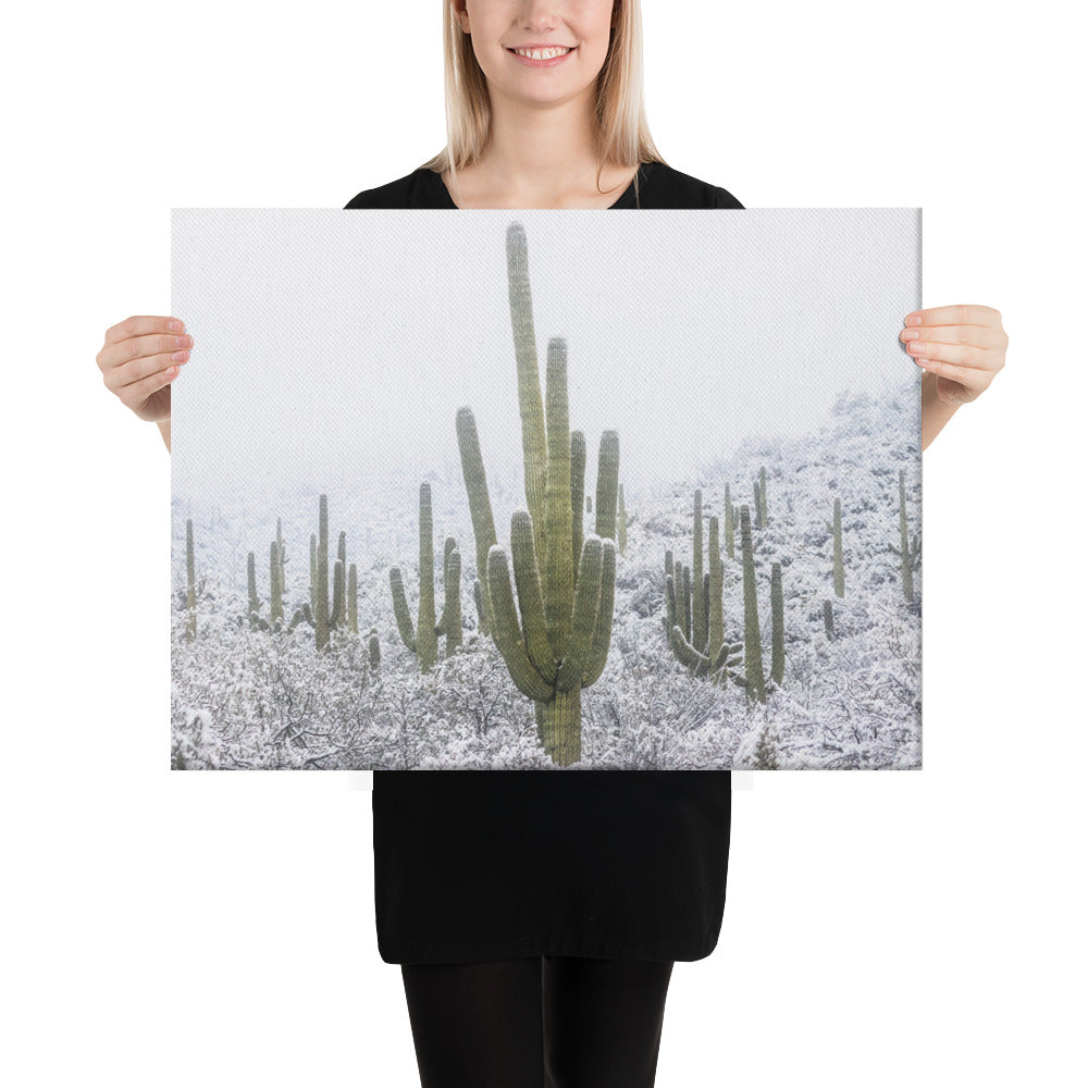 Saguaro Snowfall by Sean Parker Photography | Wrapped Canvas