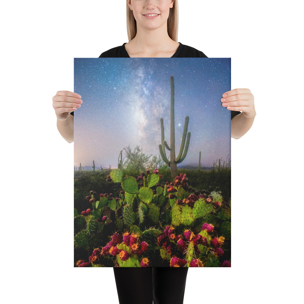 Milky Way Prickly Pear by Sean Parker Photography | Wrapped Canvas