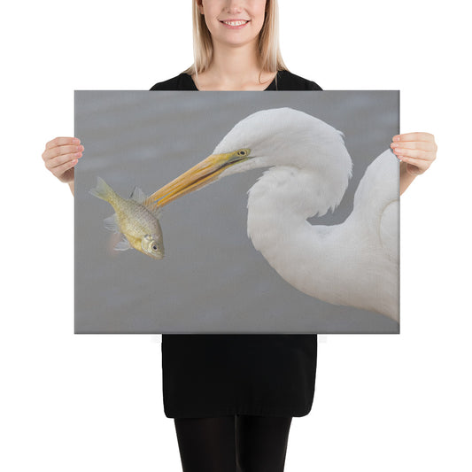 Great White Egret by Leslie Leathers Photography | Canvas