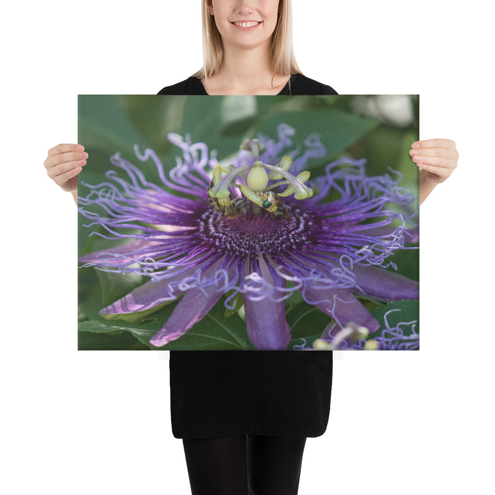 Purple Passion Flower by Leslie Leathers Photography | Wrapped Canvas