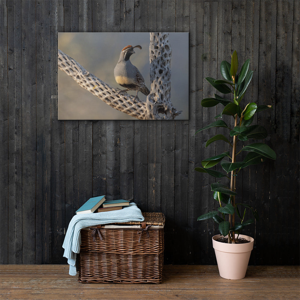 Quail on Cholla by Leslie Leathers Photography | Wrapped Canvas