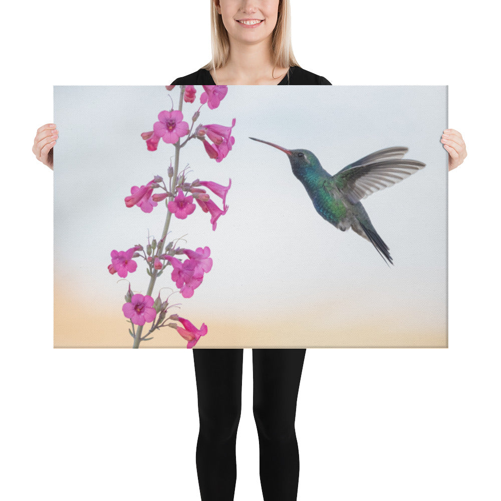 Broad Billed Hummingbird by Leslie Leathers Photography | Wrapped Canvas