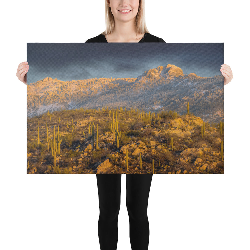 Rincon Mountain Snow by Sean Parker Photography | Wrapped Canvas