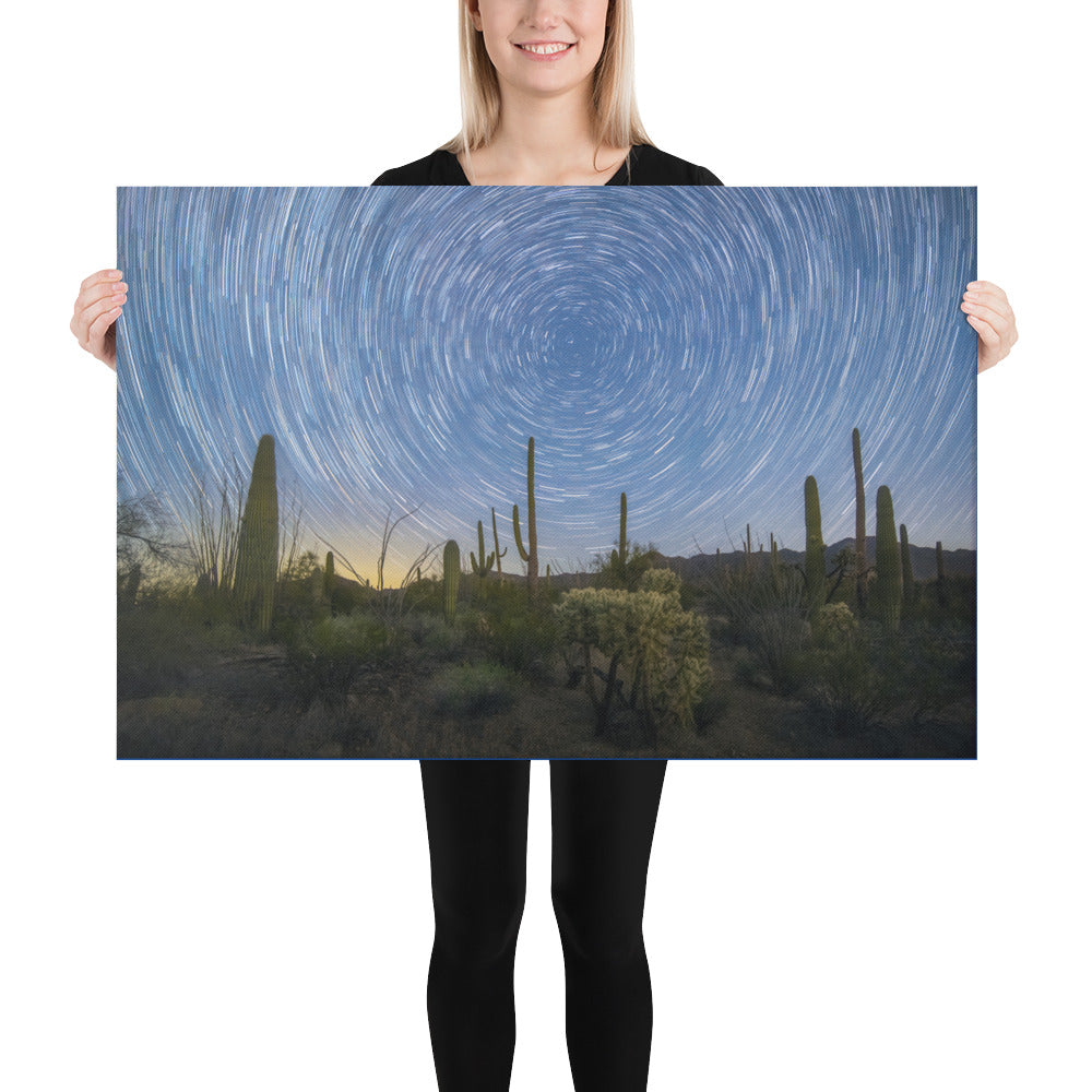 Sonoran Startails by Sean Parker Photography | Wrapped Canvas