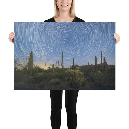 Sonoran Startails by Sean Parker Photography | Wrapped Canvas