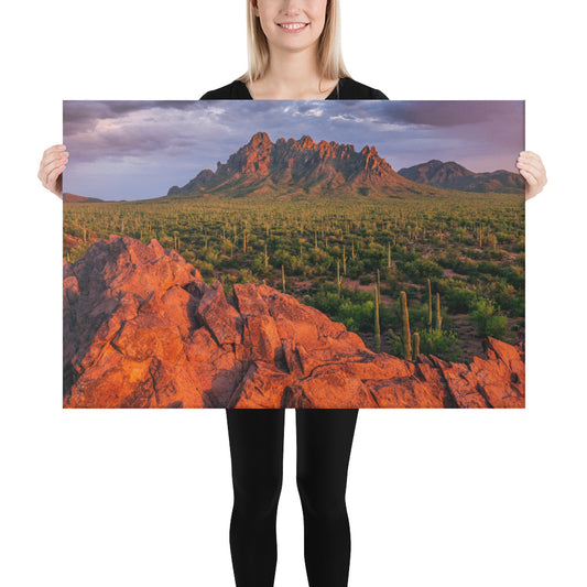 Ironwood National Monument By Sean Parker Photography | Wrapped Canvas