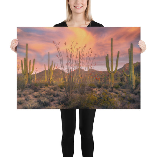 Tucson Mountain Park Sunset by Sean Parker Photography | Wrapped Canvas