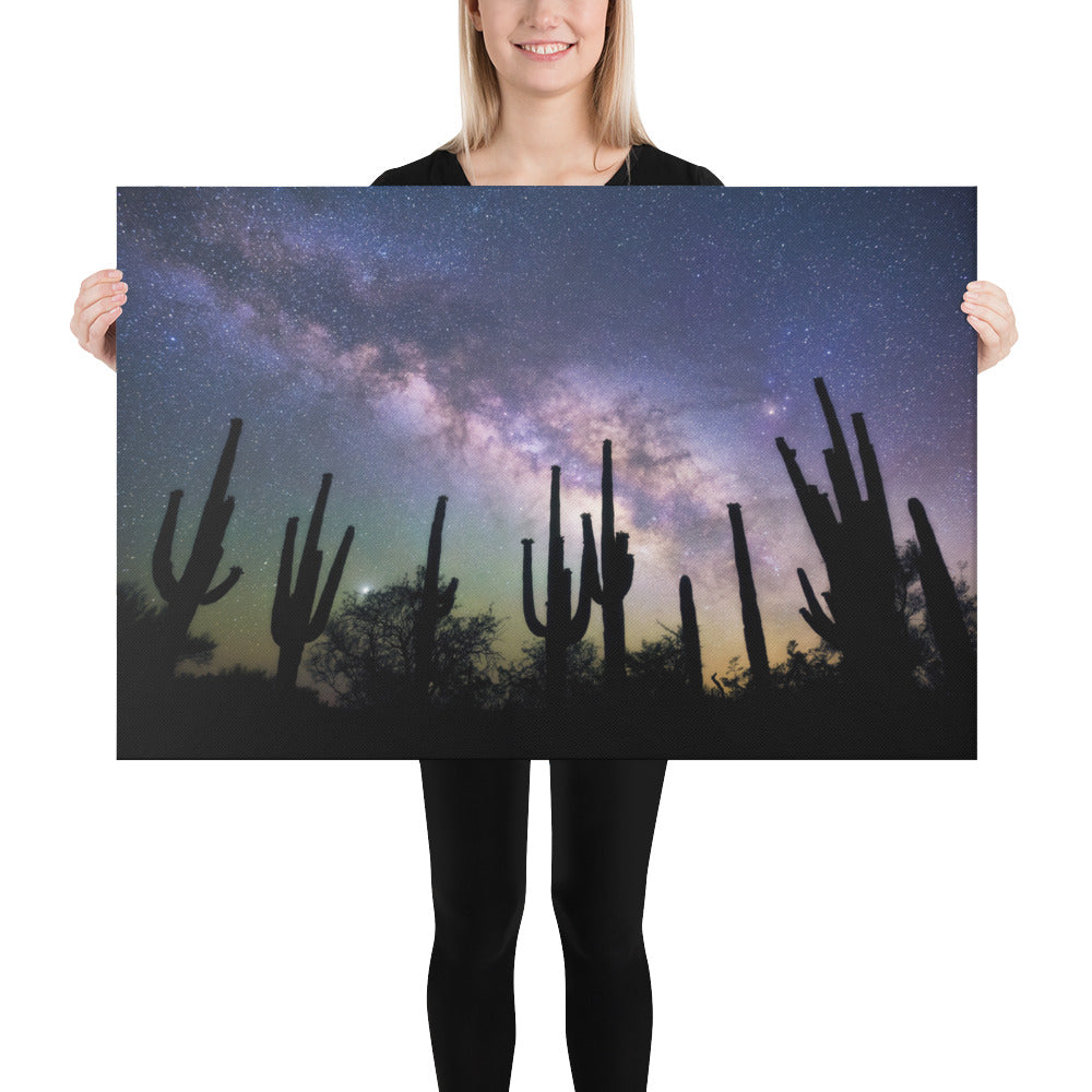 Saguaro Starlight by Sean Parker Photography | Wrapped Canvas