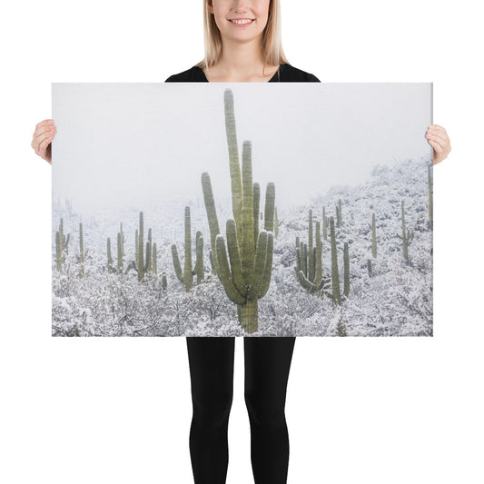 Saguaro Snowfall by Sean Parker Photography | Wrapped Canvas