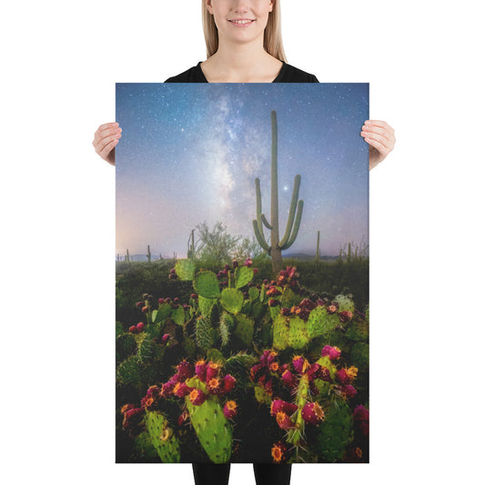 Milky Way Prickly Pear by Sean Parker Photography | Wrapped Canvas