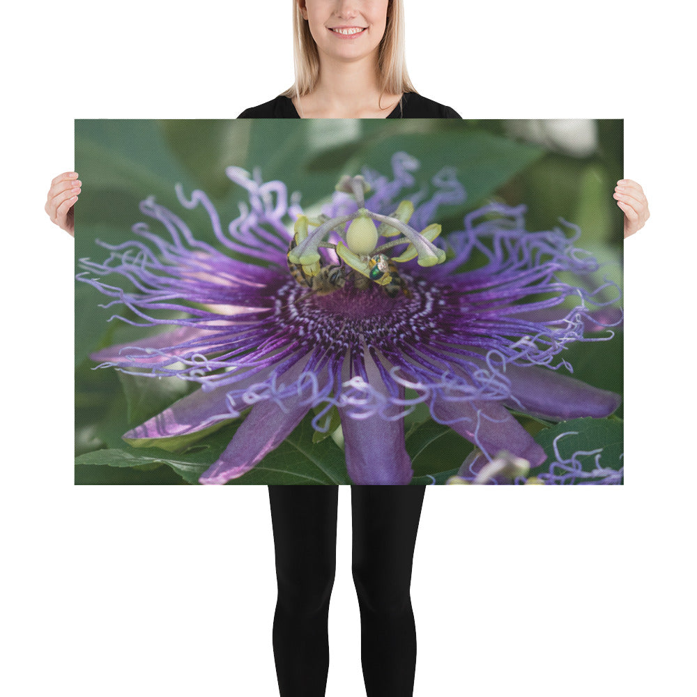 Purple Passion Flower by Leslie Leathers Photography | Wrapped Canvas