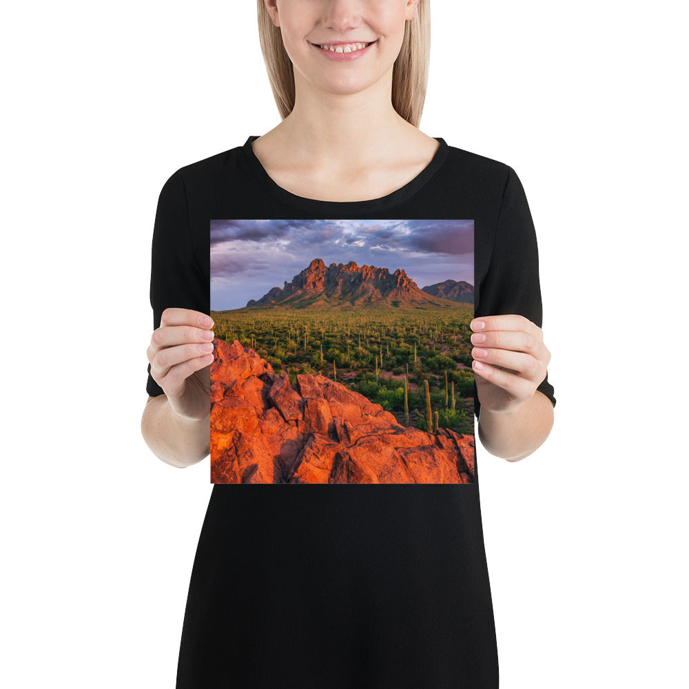 Ironwood National Monument by Sean Parker Photography | Poster