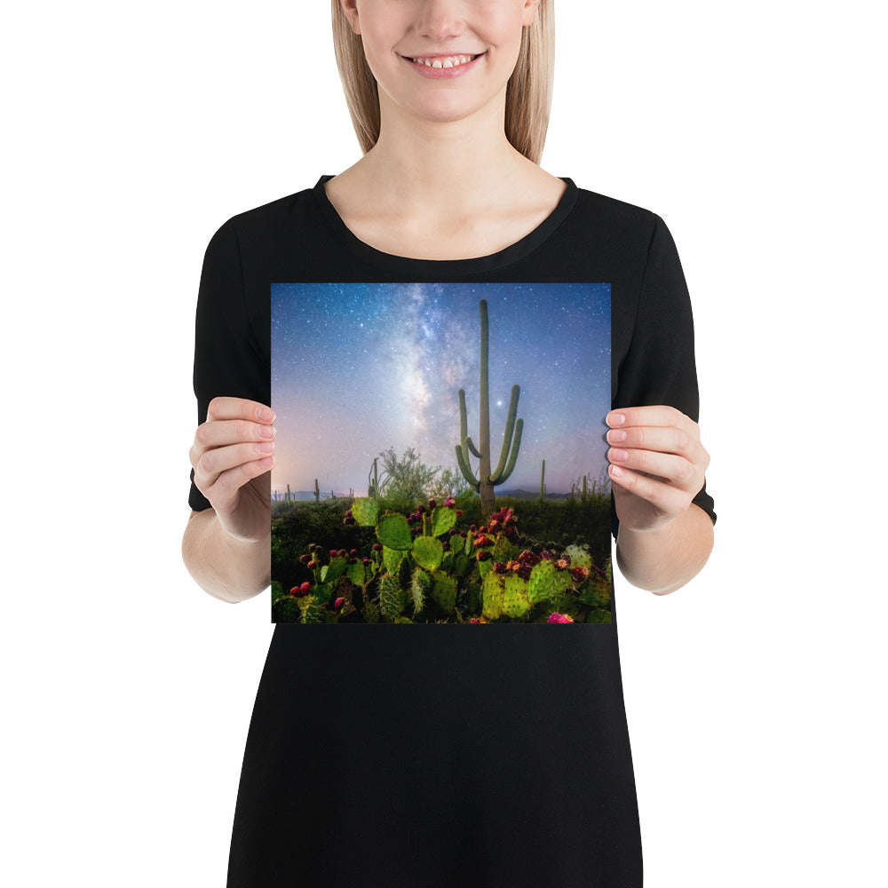 Milkyway Prickly Pear by Sean Parker Photography | Poster