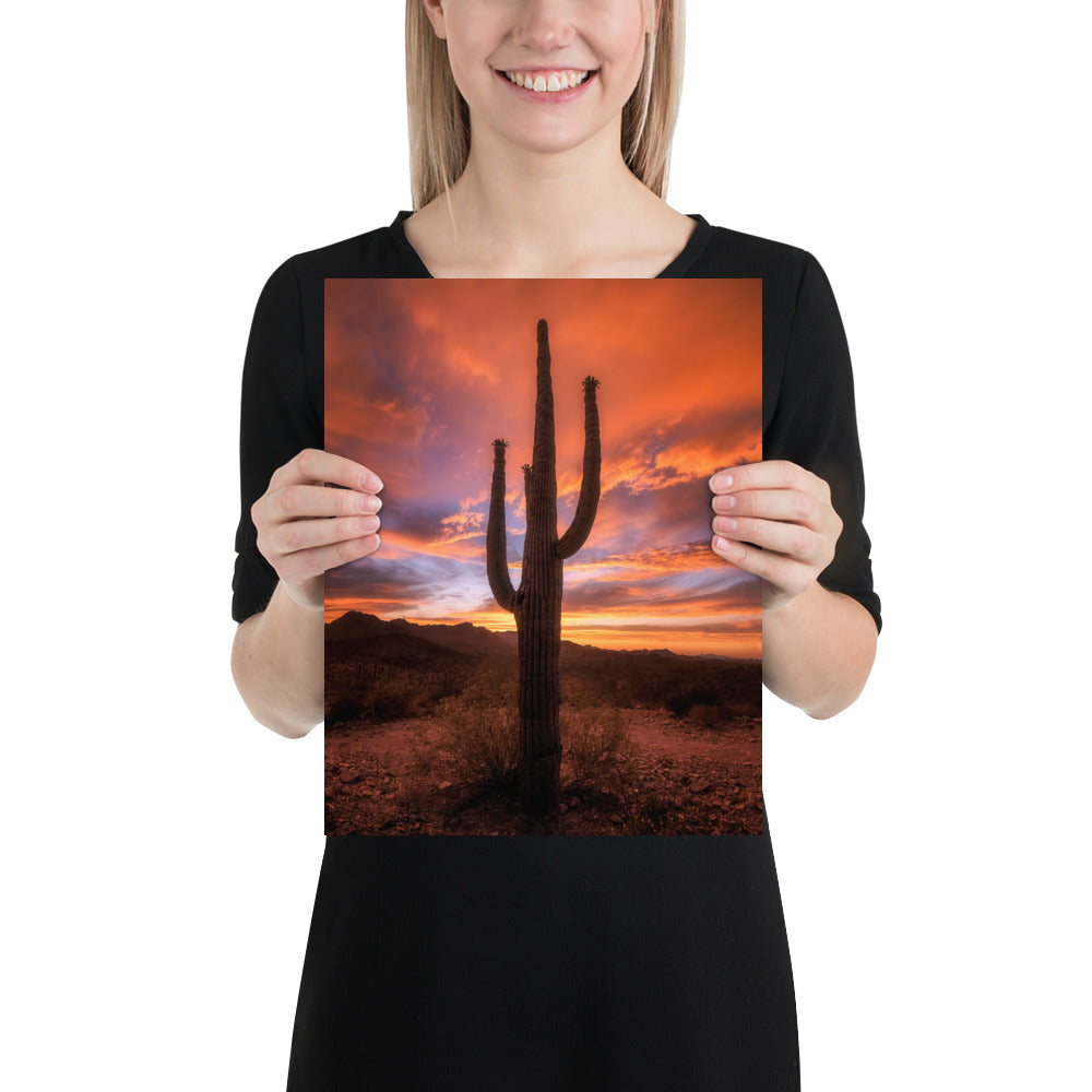 Saguaro Sunset by Sean Parker Photography | Poster