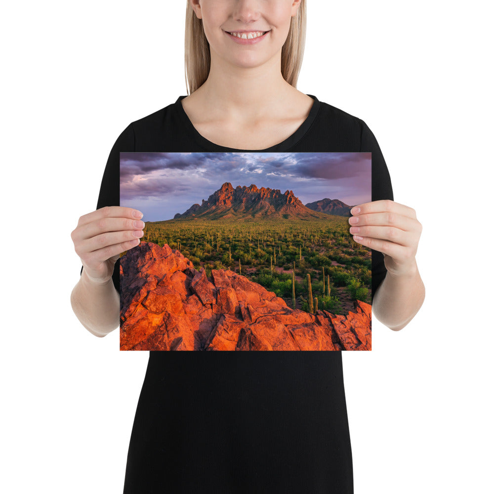 Ironwood National Monument by Sean Parker Photography | Poster