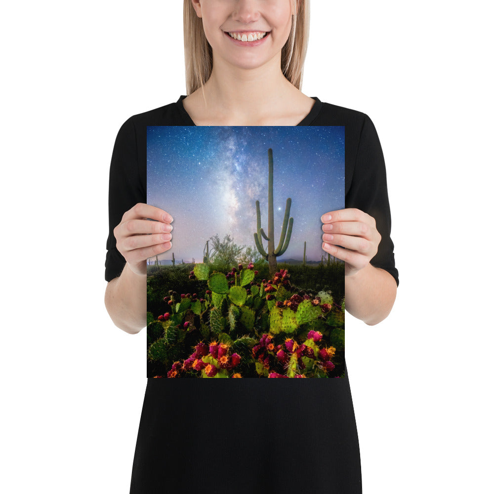 Milkyway Prickly Pear by Sean Parker Photography | Poster