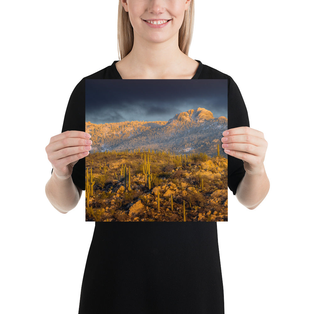 Rincon Mountain Snow by Sean Parker Photography | Poster