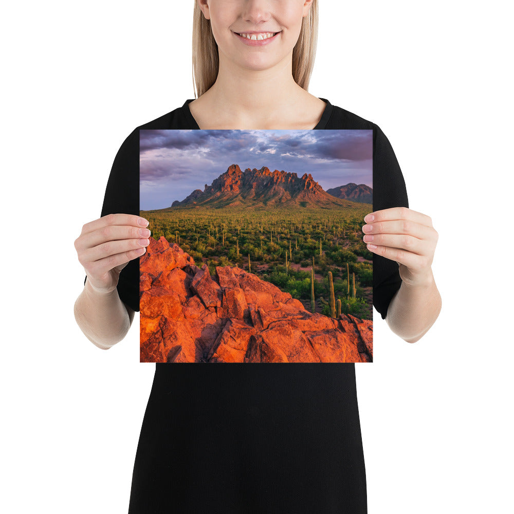 Ironwood National Monument by Sean Parker Photography | Poster