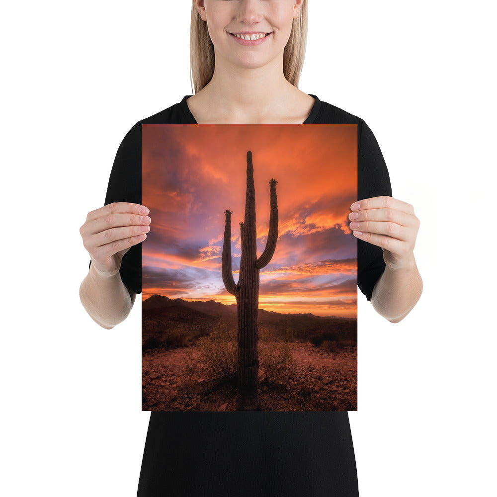 Saguaro Sunset by Sean Parker Photography | Poster