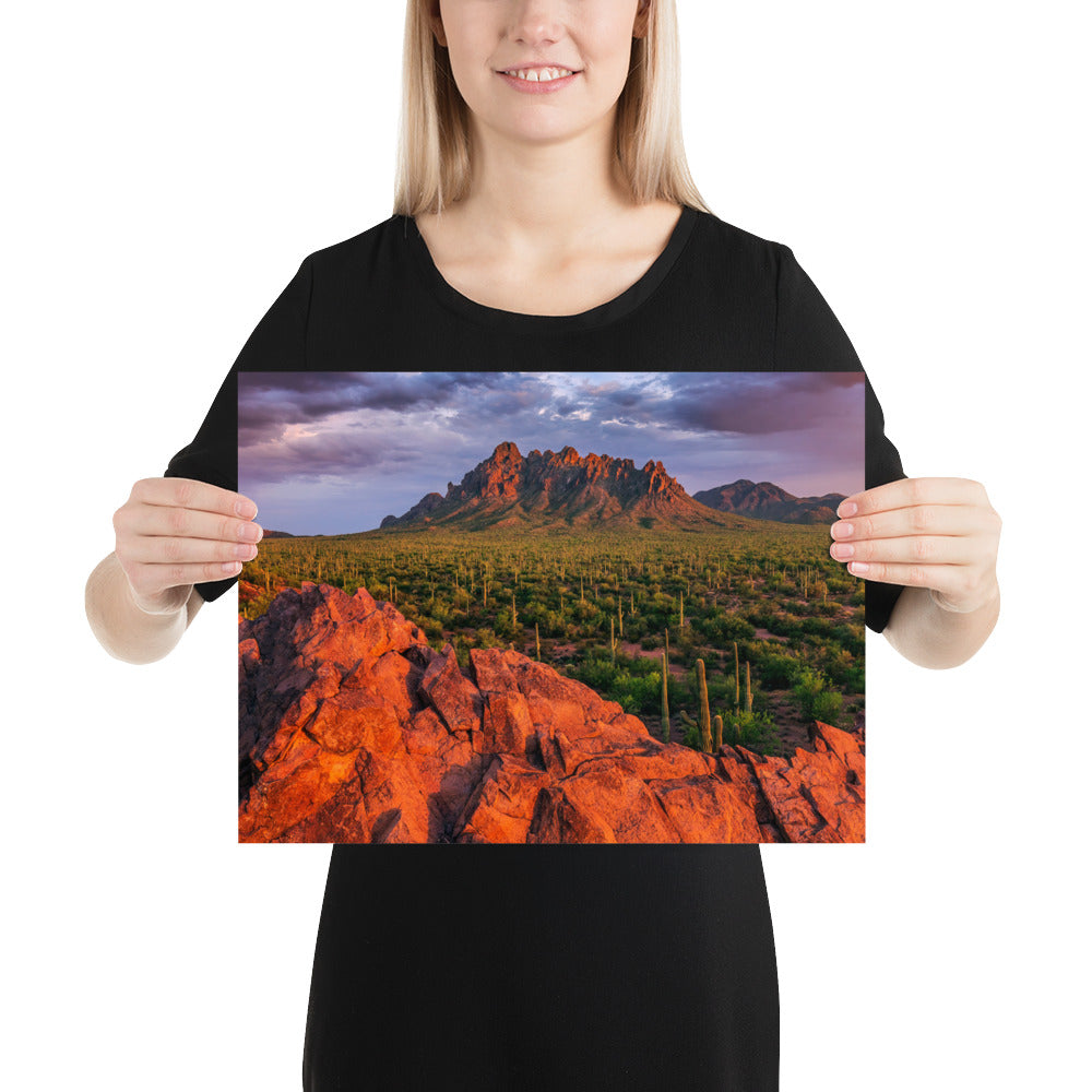 Ironwood National Monument by Sean Parker Photography | Poster