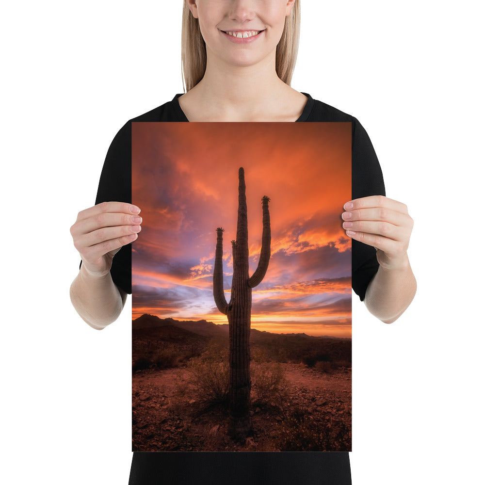 Saguaro Sunset by Sean Parker Photography | Poster