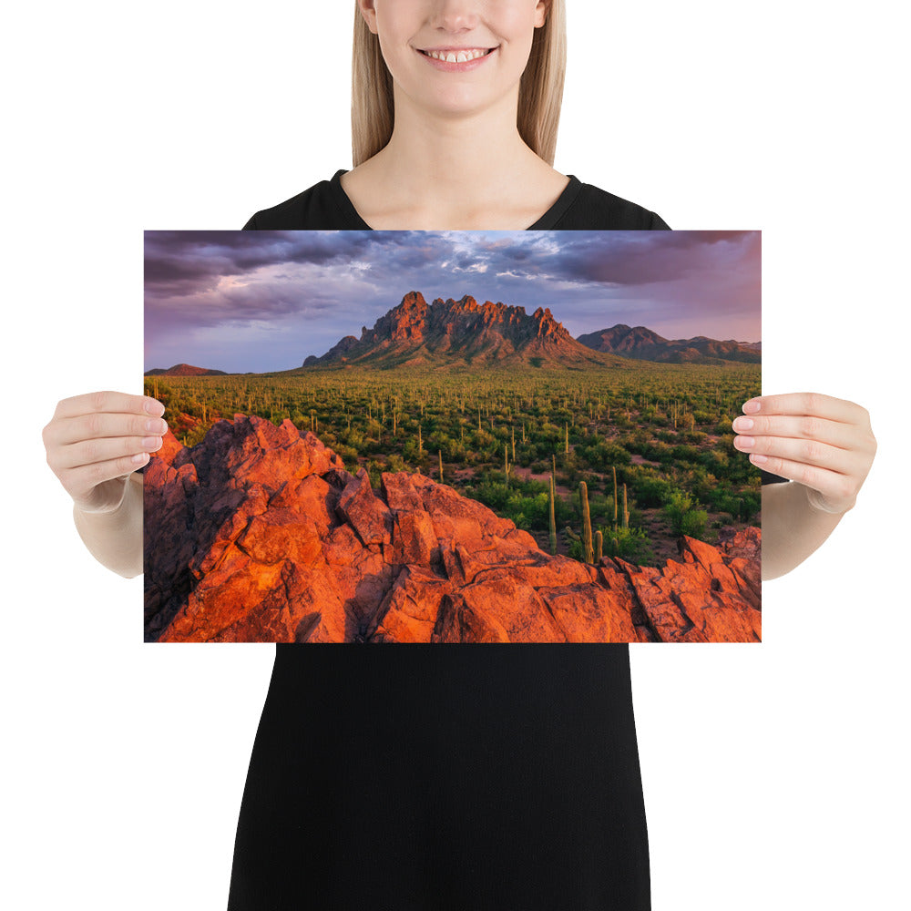 Ironwood National Monument by Sean Parker Photography | Poster