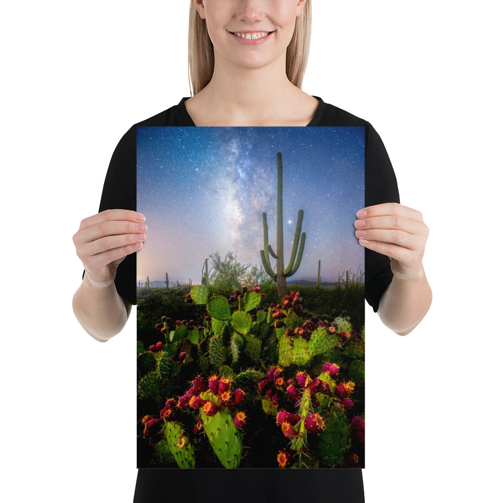 Milkyway Prickly Pear by Sean Parker Photography | Poster