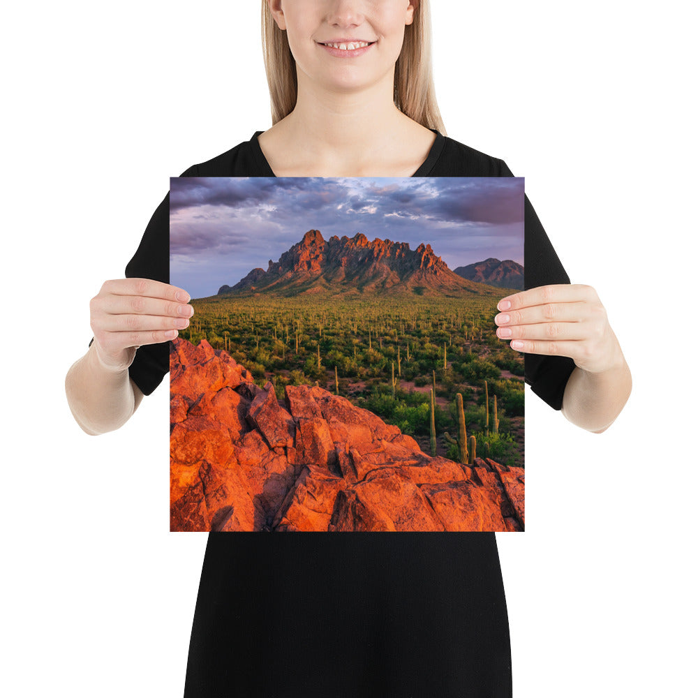 Ironwood National Monument by Sean Parker Photography | Poster