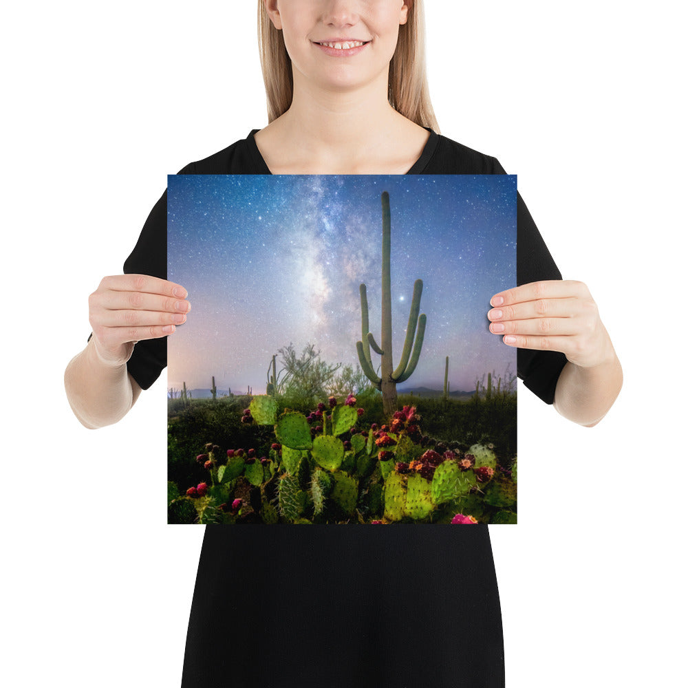 Milkyway Prickly Pear by Sean Parker Photography | Poster