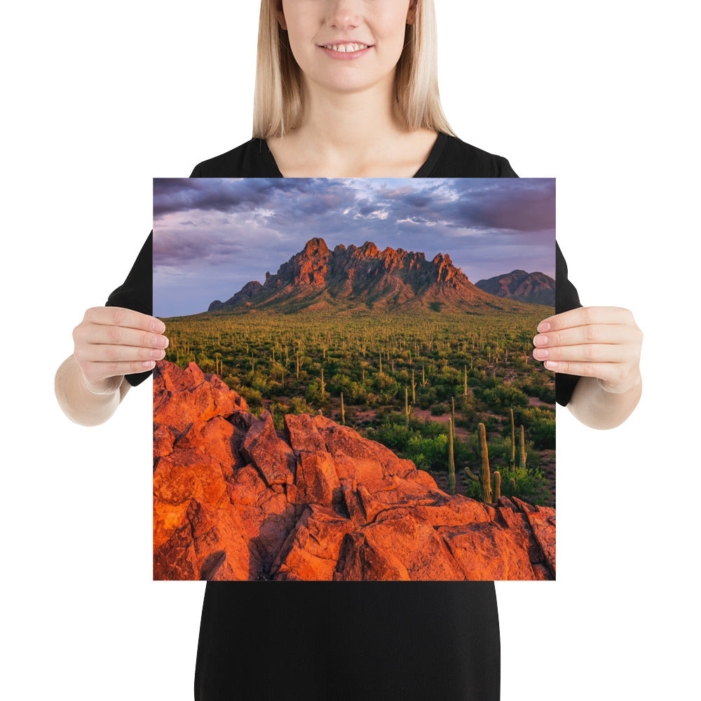 Ironwood National Monument by Sean Parker Photography | Poster