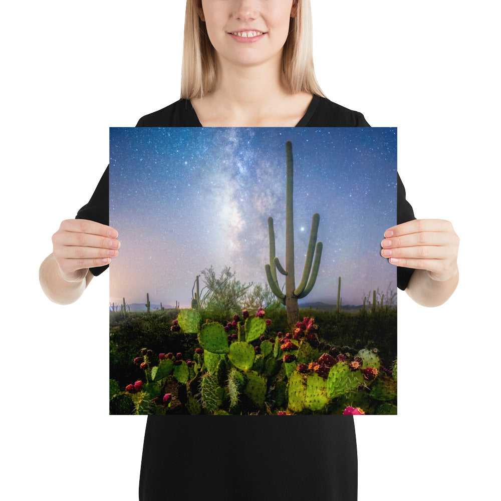 Milkyway Prickly Pear by Sean Parker Photography | Poster