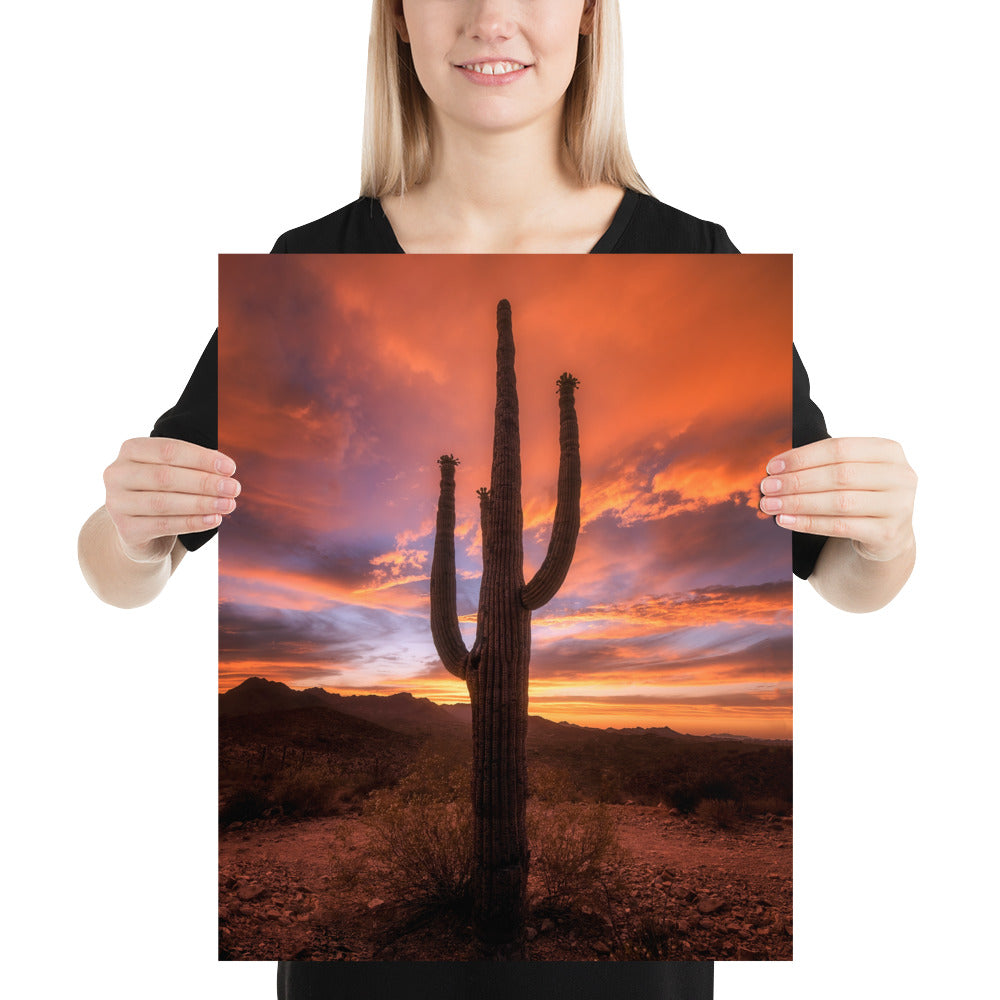 Saguaro Sunset by Sean Parker Photography | Poster