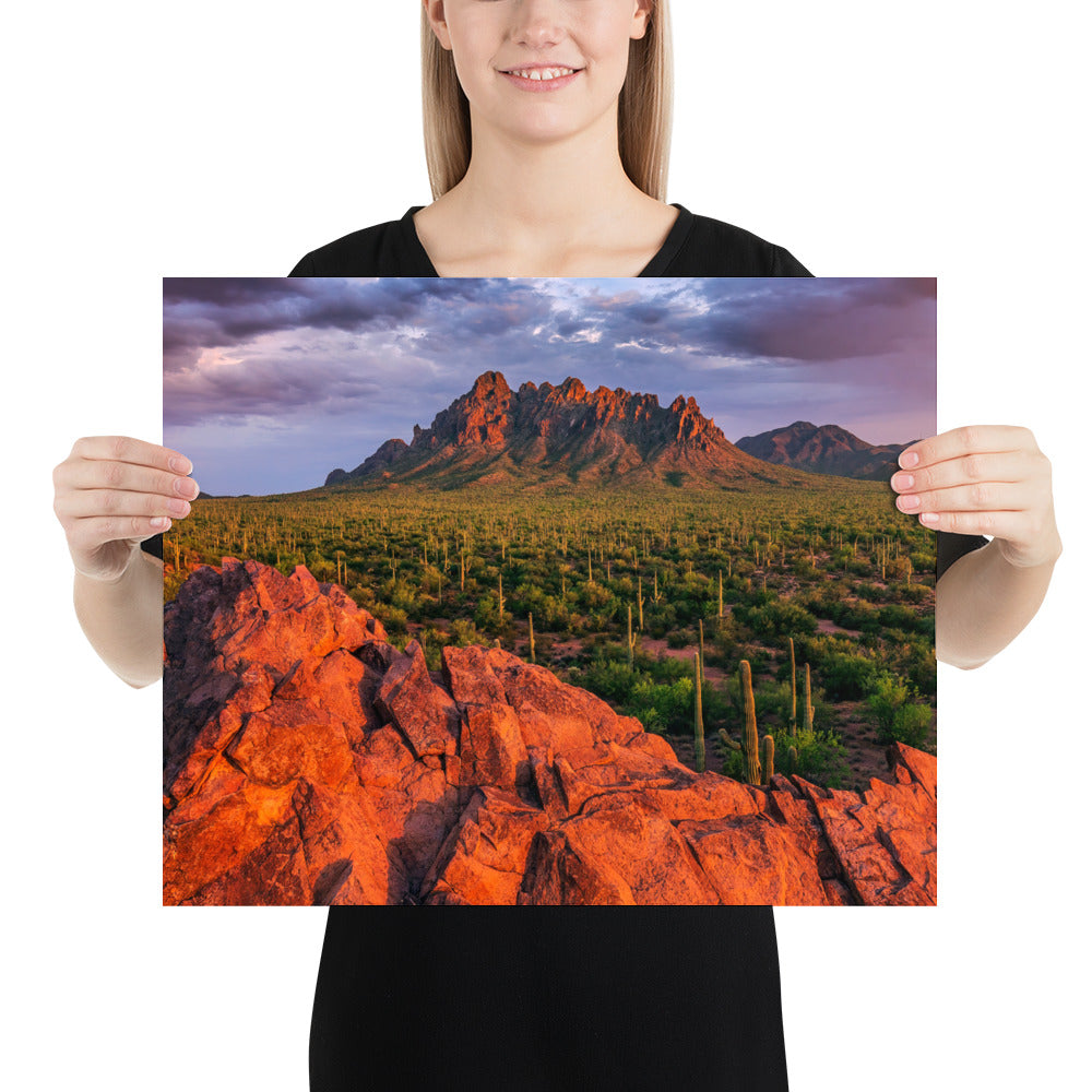 Ironwood National Monument by Sean Parker Photography | Poster