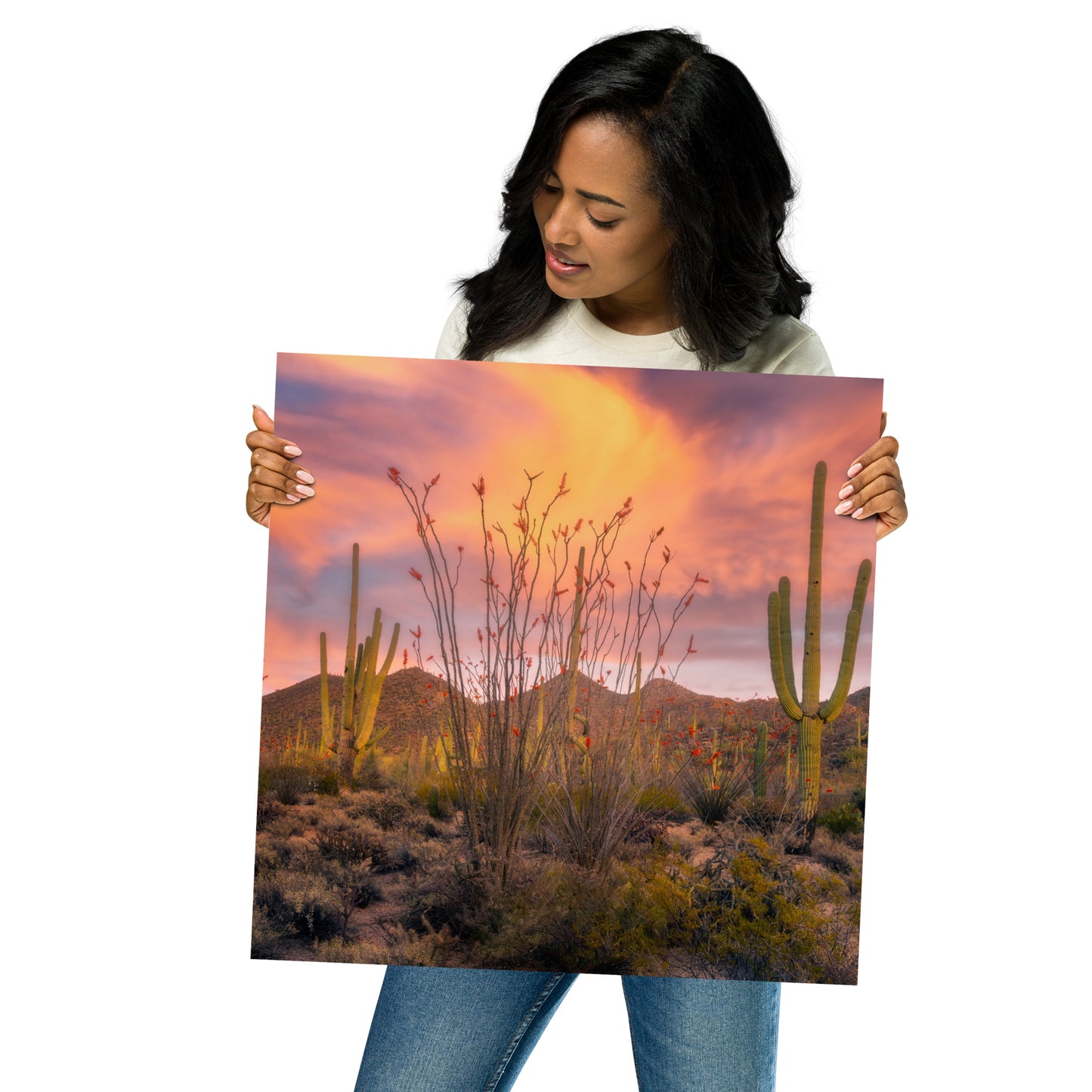 Tucson Mountain Park Sunset by Sean Parker Photography | Poster