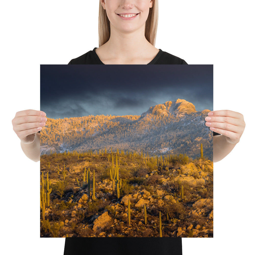 Rincon Mountain Snow by Sean Parker Photography | Poster