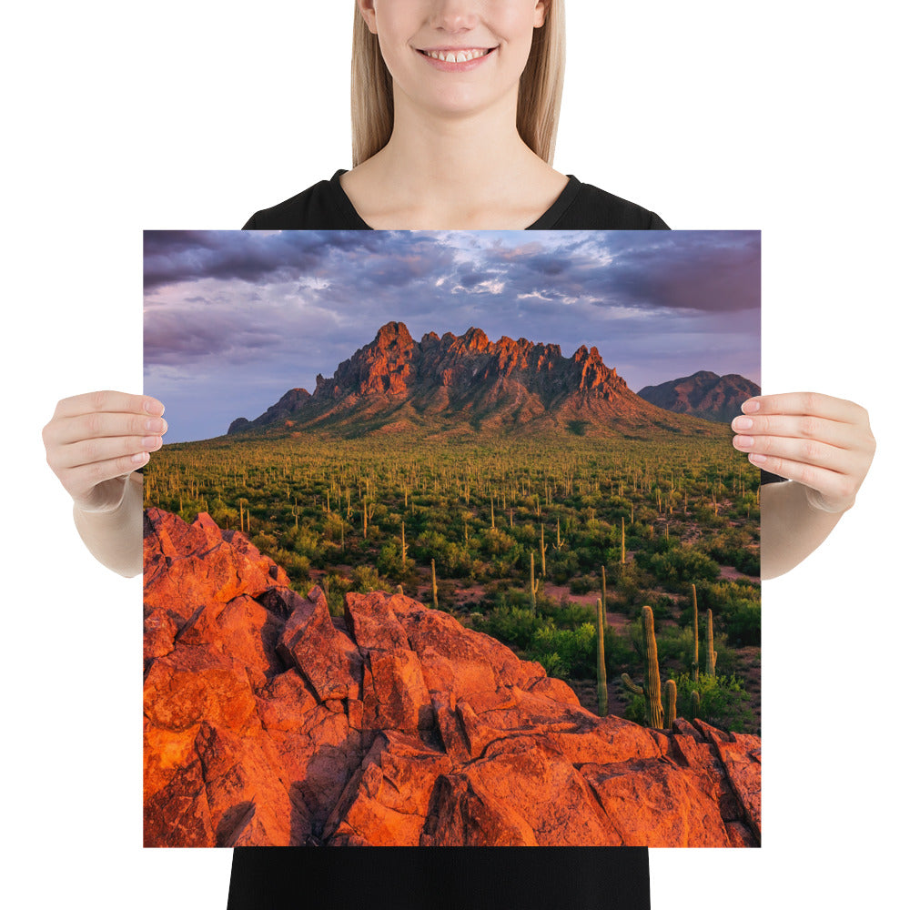 Ironwood National Monument by Sean Parker Photography | Poster