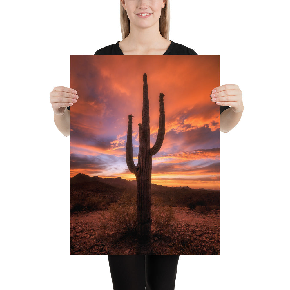 Saguaro Sunset by Sean Parker Photography | Poster