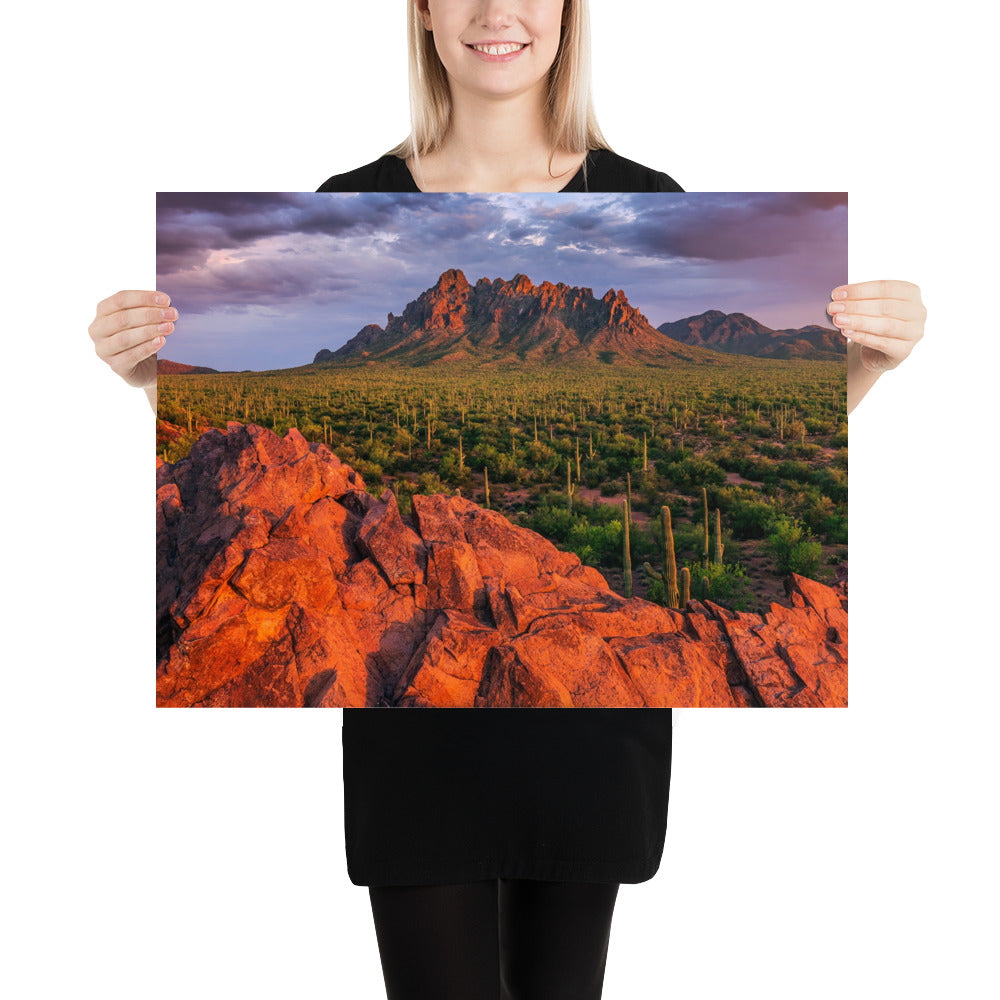 Ironwood National Monument by Sean Parker Photography | Poster