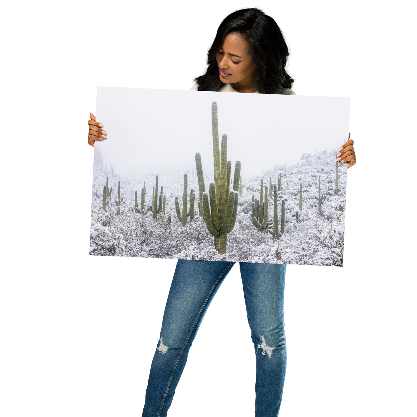 Saguaro Snowfall by Sean Parker Photography | Poster