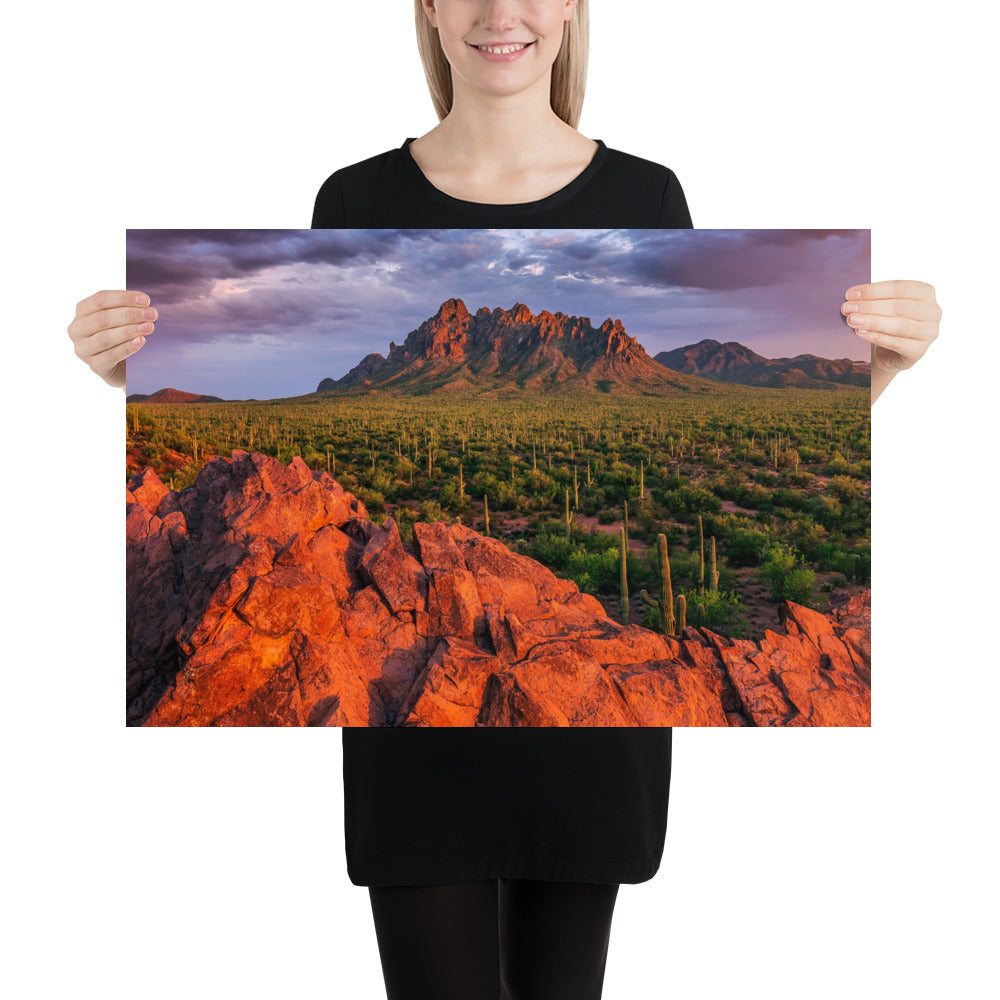 Ironwood National Monument by Sean Parker Photography | Poster